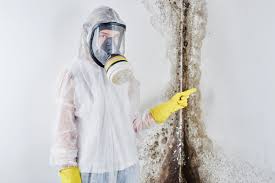 Mold Removal for HVAC Installations in Oak Lawn, IL